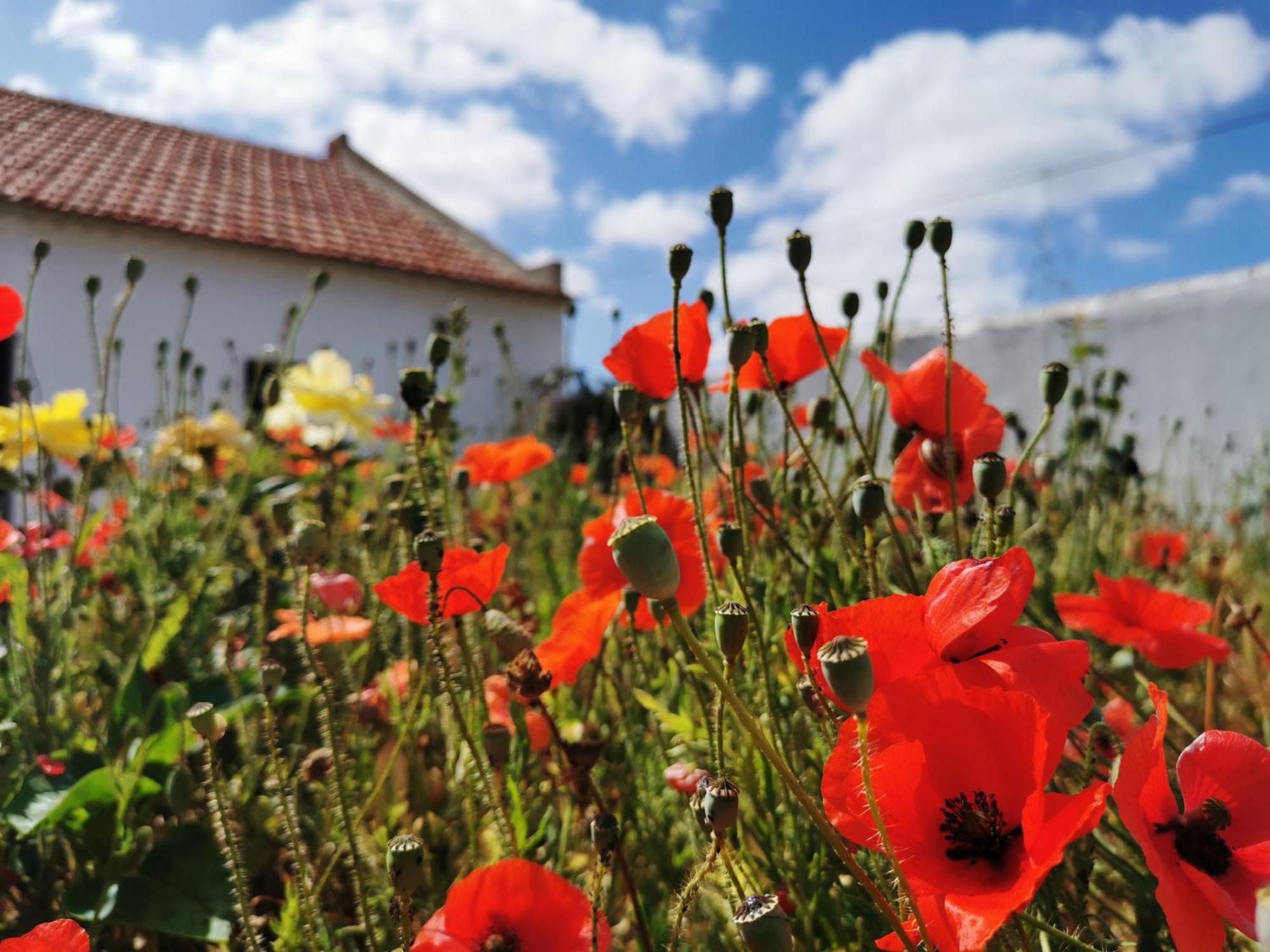 Al Mar Guesthouse São Luis Kültér fotó
